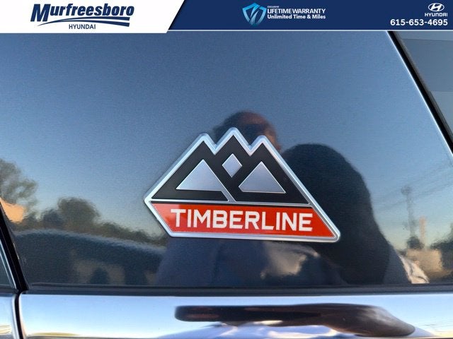 2022 Ford Expedition Timberline